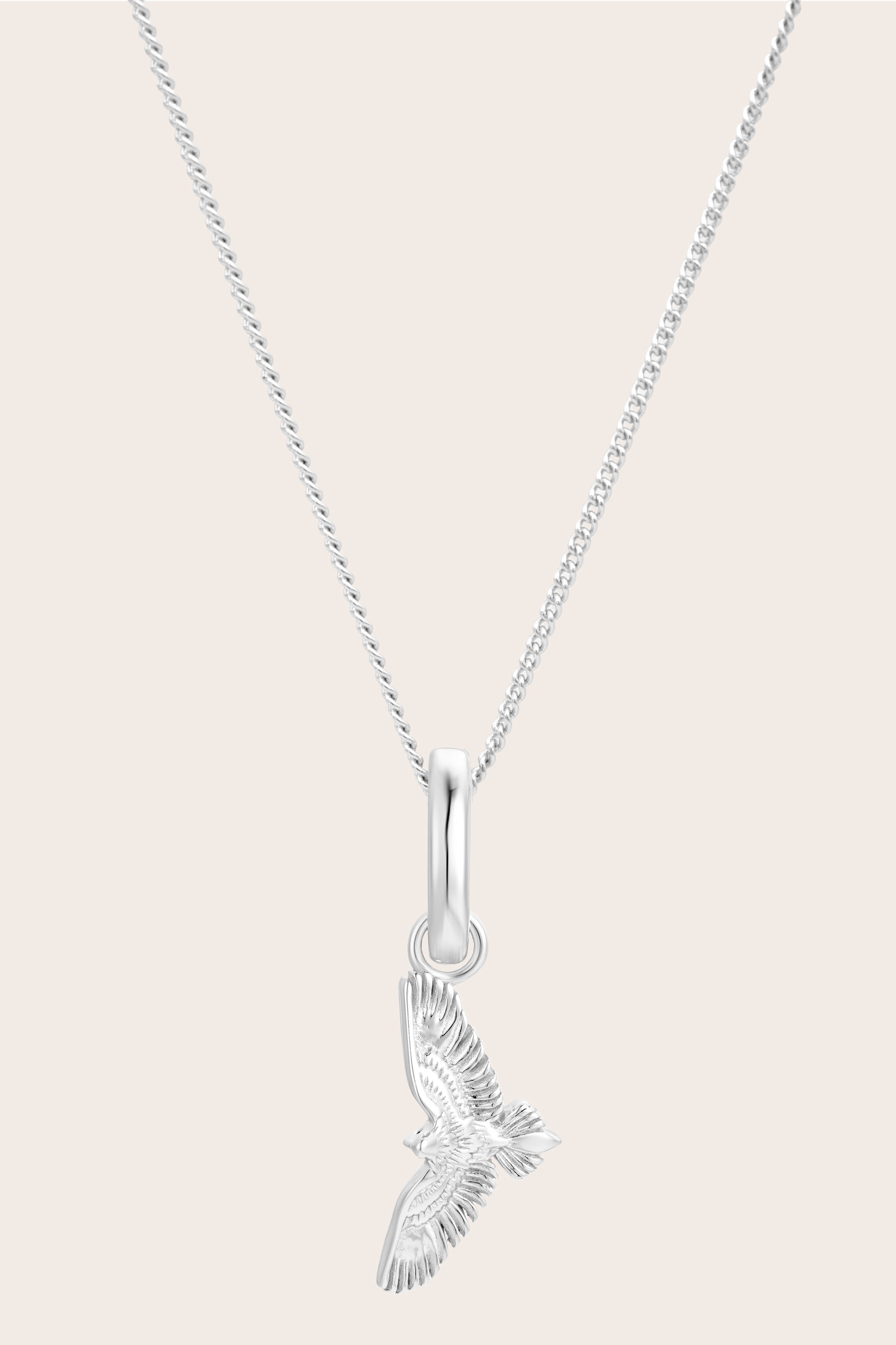 Fine Curb Chain Necklace - Silver