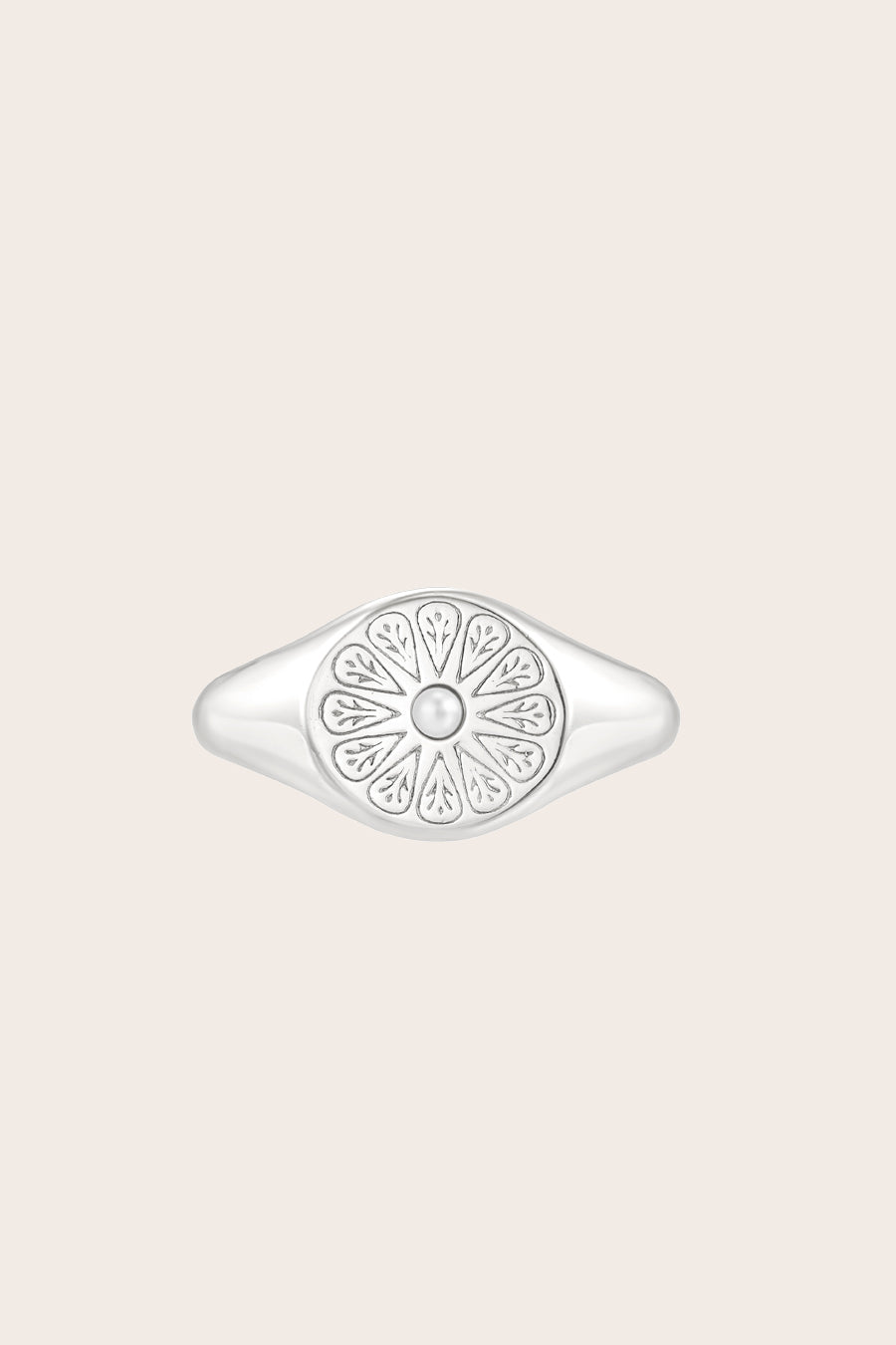 Silver June Signet Birthstone Ring on cream background